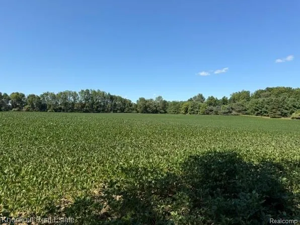 PARCEL W Murphy Lake Rd #C, Mayville, MI 48744