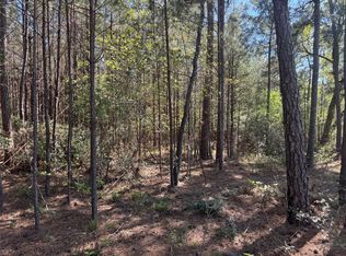 TRACT 107 State Highway 156, Coldspring, TX 77331