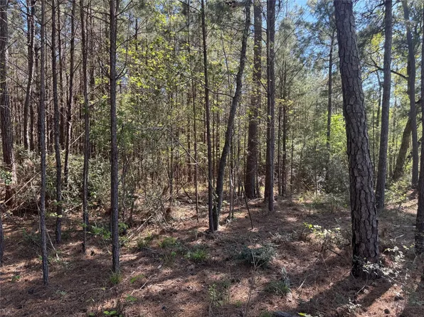 TRACT 107 State Highway 156, Coldspring, TX 77331