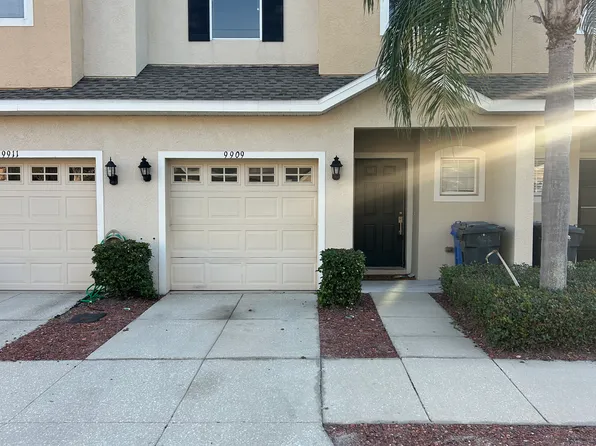 9909 Palermo Breeze Way, Tampa, FL 33619