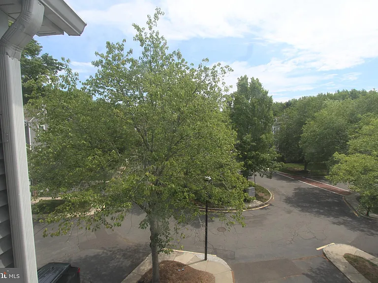 6 Halstead Pl — Photo 34