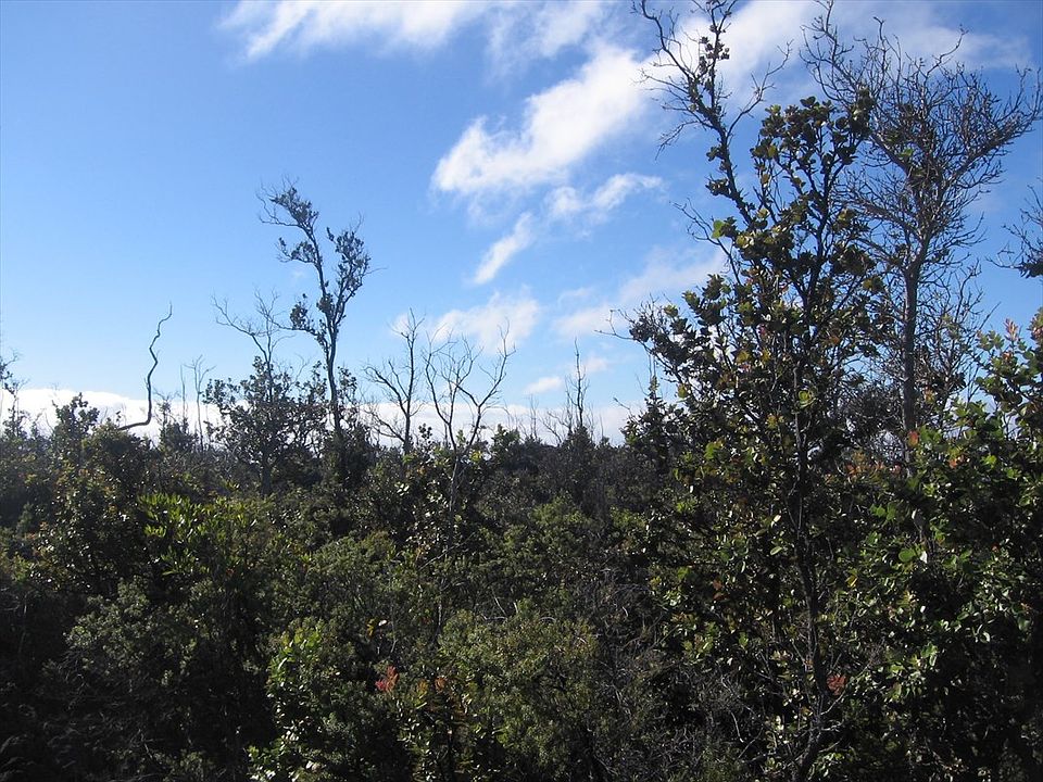 1st image of 92-2682 Poinciana Dr Lot 6