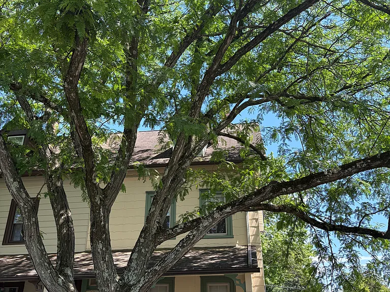 806 Pleasant Ave — Photo 3