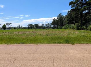 435 Tung Oil Rd LOT 2-B6, Pine Grove, LA 70453