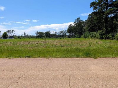 435 Tung Oil Rd Lot 2-B6, Pine Grove, LA, 70453