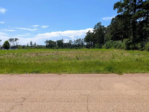 435 Tung Oil Rd Lot 2-B6, Pine Grove, LA 70453