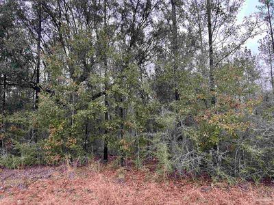 LOT 5 Pond Creek Rd, Milton, FL, 32570