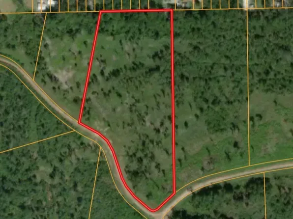 LOT 4 Eagle Falls Blvd, Trinity, TX 75862