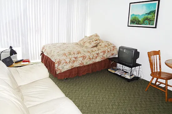 2572 Lemon Rd #508 — Photo 5