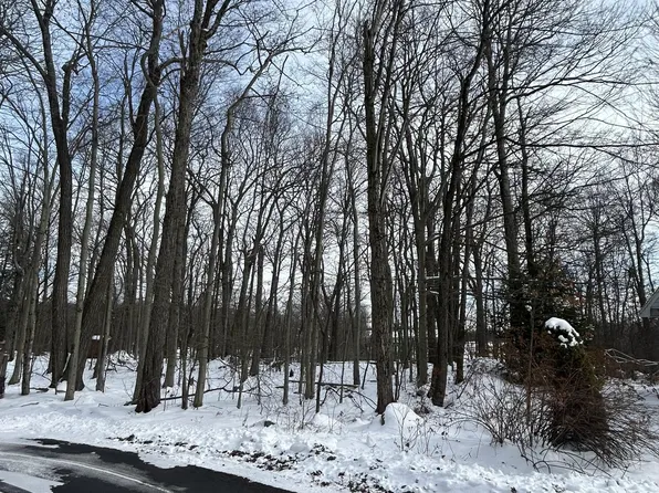 LOT 87 Red Maple Ln, Tobyhanna, PA 18466