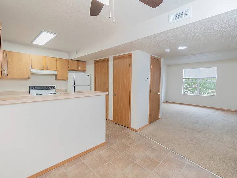 Kitchen and Living Area
