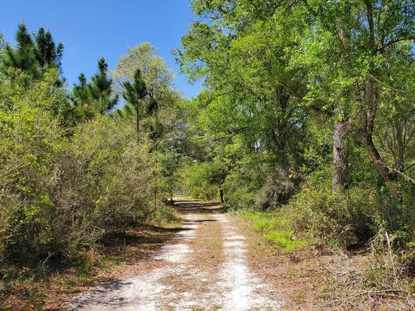 0 SW Wire Rd Lot 16, Lee, FL 32059