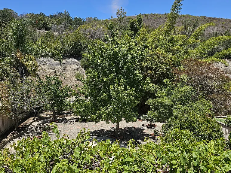 233 Canyon Creek Way — Photo 43