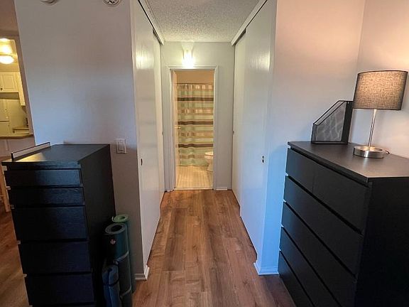 Sleeping area, double closets and entrance to bathroom