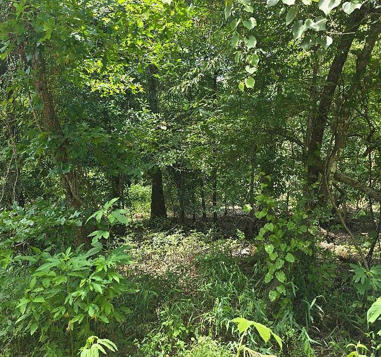 1st image of 23646 County Road 4154