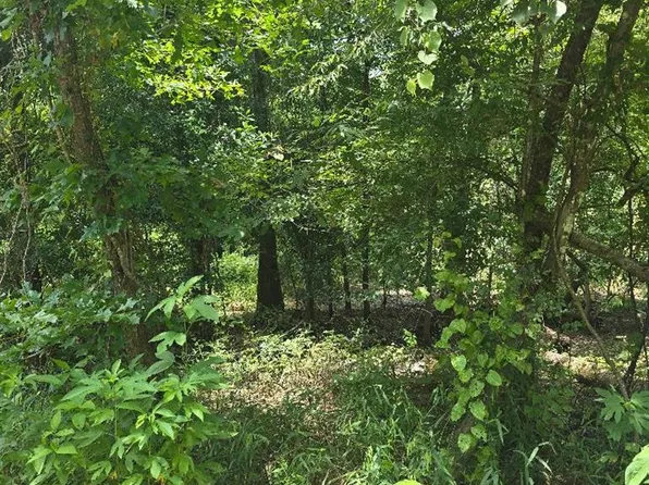 23646 County Road 4154, Orange, TX 77632
