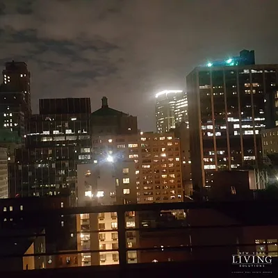 Rented by NY Living Solutions | media 11