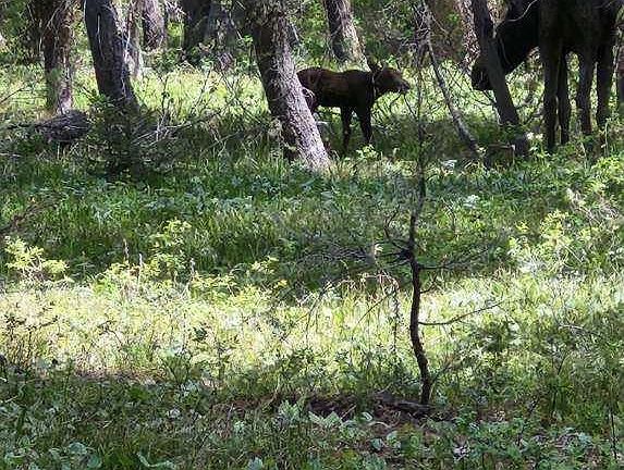 2nd image of 4158 Beaver Springs Rd