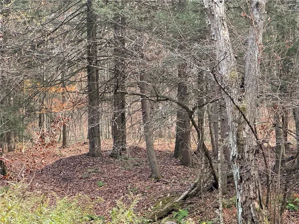 Barnes Hill Rd Lot 12, Lockwood, NY 14859