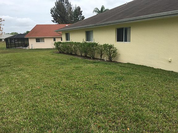 Back yard