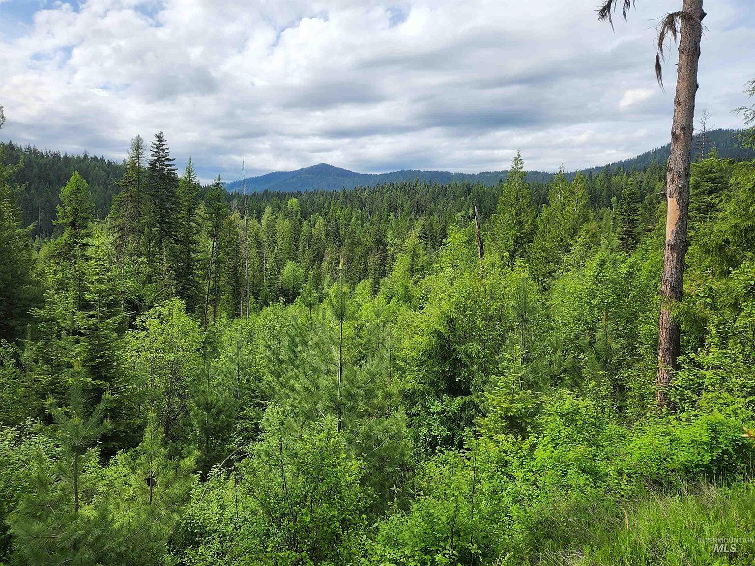 0 Ropp Rd, Priest River, ID 83856 MLS 98846833 Zillow