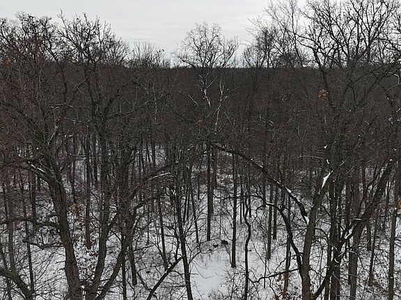 2nd image of 1 Crooked Creek Rd