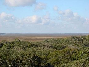 1st image of 1750 Dunes Club Pl