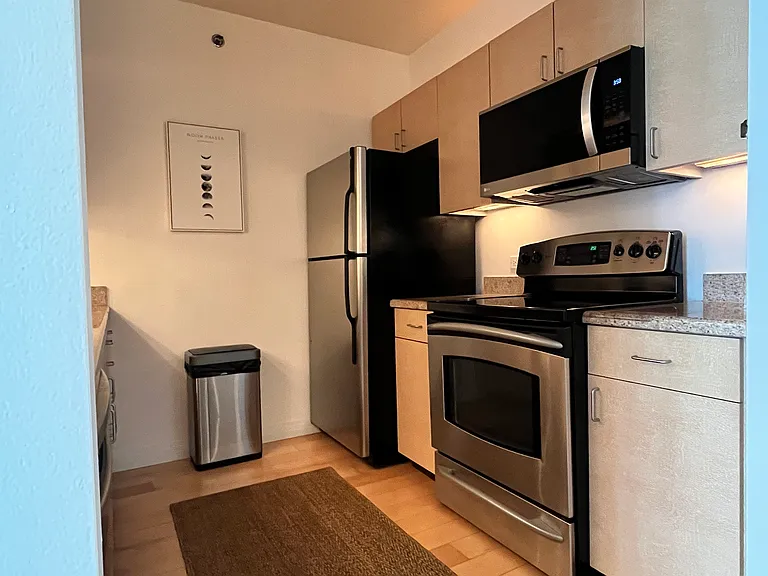 425 W Beech St #1152 — Photo 8