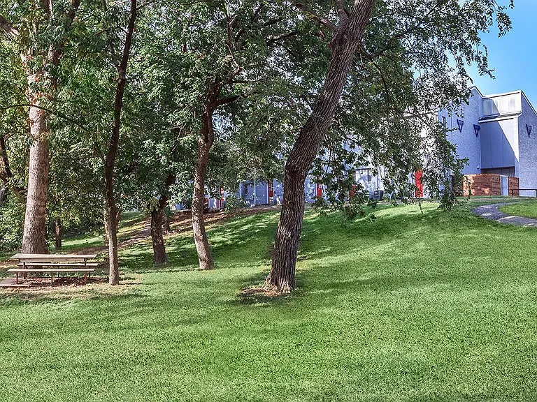 Bel Air Oaks — Photo 5
