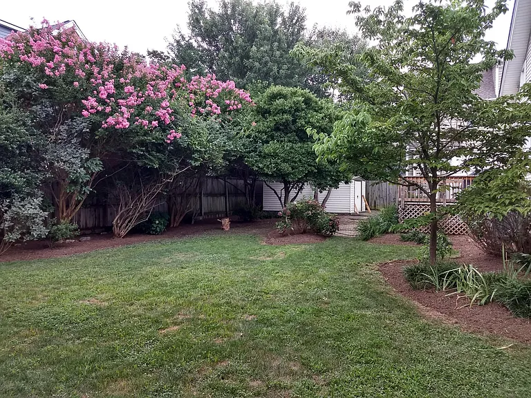 Backyard.