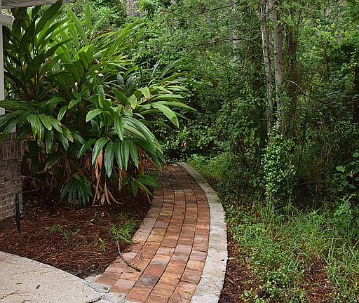 Landscaped walkway to back