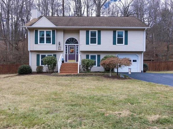 1197 Mountain Pass Rd, Blue Ridge, VA 24064