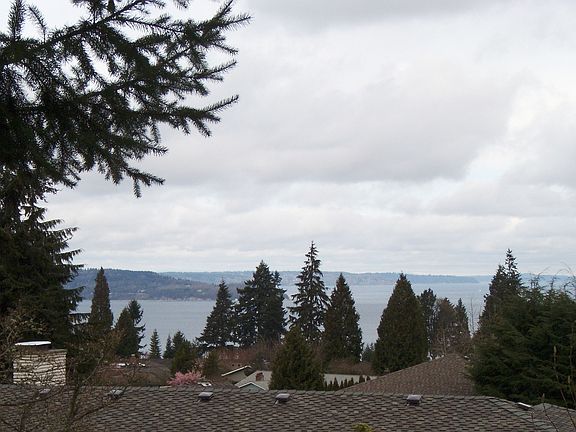 View from Back Yard