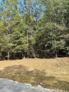 Oakhaven Dr, Lucedale, MS, 39452