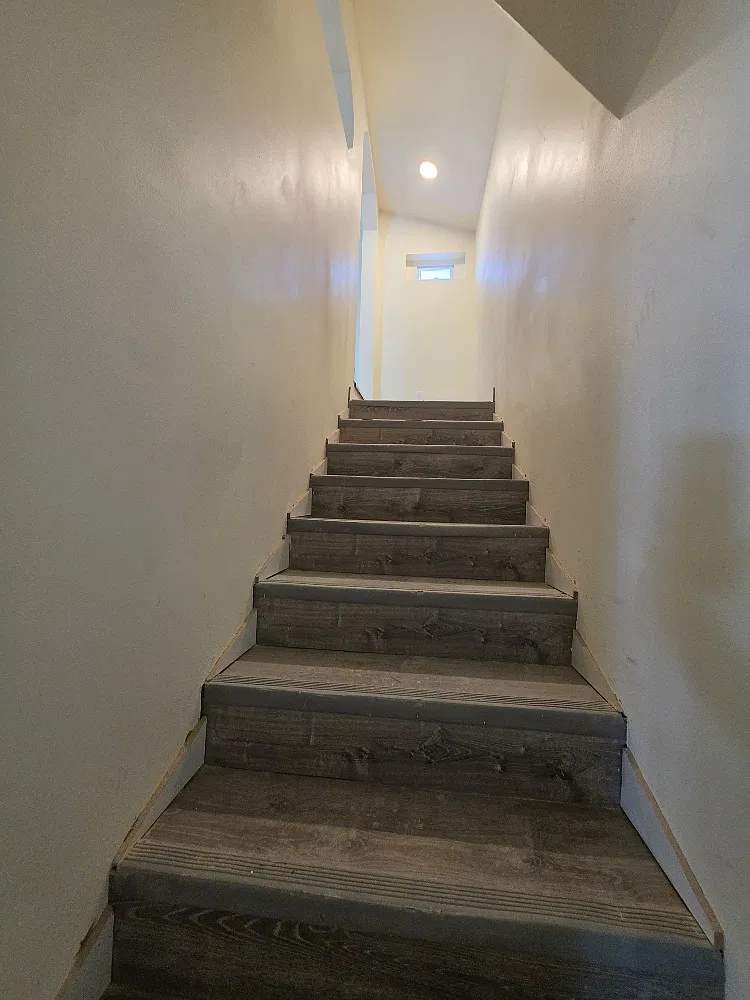 3 bed, 1560 sqft, $2,400 — Photo 3