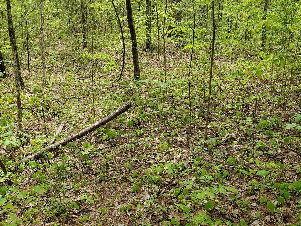 1st image of 0 Ingle Hollow Rd Lot 56
