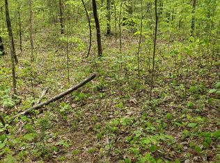 0 Ingle Hollow Rd LOT 56, Sevierville, TN 37876