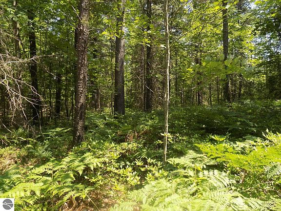 3rd image of Xxx Old Pine Trl