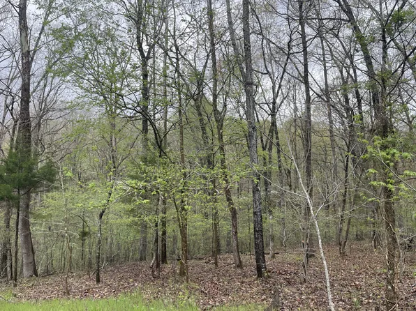 2713 Cardinal Ct, Nunnelly, TN 37137