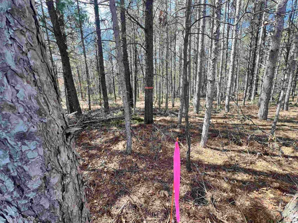 Mickey Rd #22, Crivitz, WI 54114
