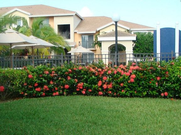 3rd image of 613 E Palm Dr #4299003