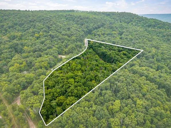 0 Old Bon Air Rd, Sparta, TN 38583