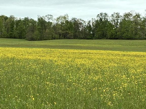 2nd image of 0 Warner Rd