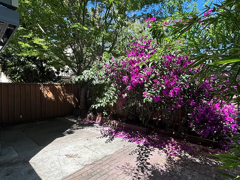 4954 Paseo Tranquillo — Photo 33
