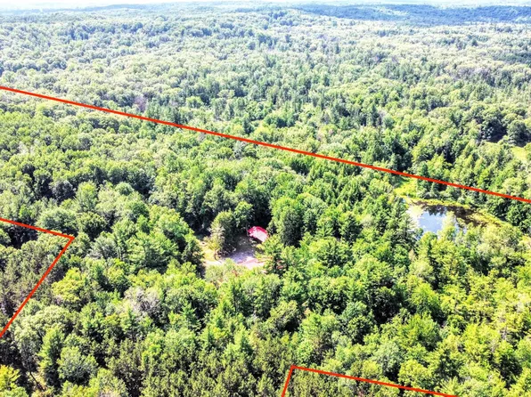 8172 S Frank Smith Rd, Chase, MI 49623