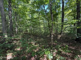 LOT 2 E Cove Rd, Monterey, TN 38574