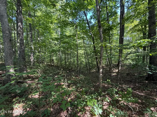 LOT 2 E Cove Rd, Monterey, TN 38574