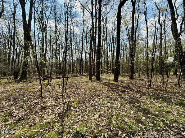 13 Timberman Rd, Claysburg, PA 16625