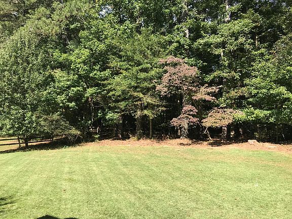 Back yard, view from patio