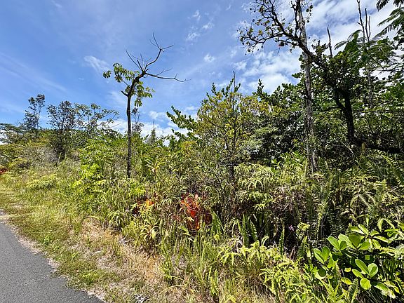 3rd image of 4th Ave Lot 2506